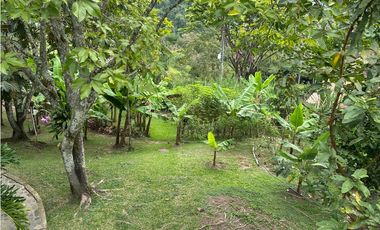 VENTA FINCA, TITIRIB SUROESTE ANTIOQUEÑO