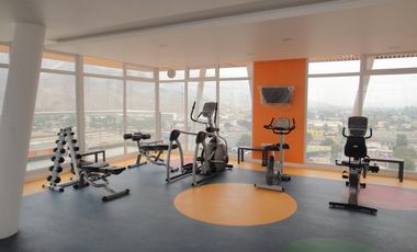 Chañarcillo 831 (1 Est ) [172-1]