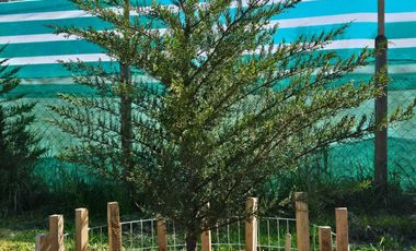 Casa en venta en LOS LAGOS