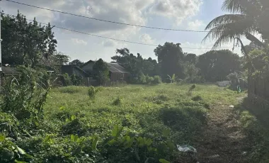 Land for sale in Mengwi, Bali