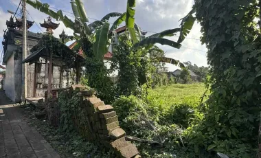 Land for sale in Mengwi, Bali