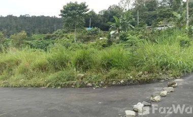Land for sale in Kintamani, Bali