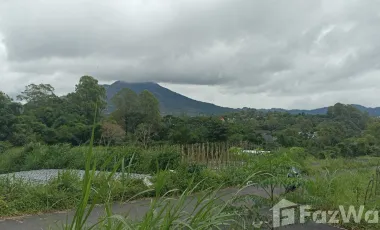 Land for sale in Kintamani, Bali