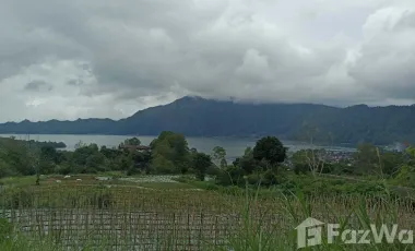 Land for sale in Kintamani, Bali