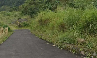 Land for sale in Kintamani, Bali