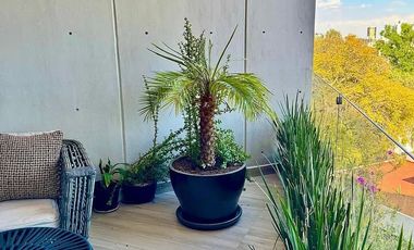 Departamento en renta en tecamachalco