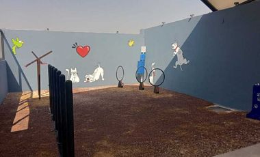 DEPARTAMENTOS EN RENTA COL ROMA SIN AVAL CUAUHTÉMOC CIUDAD DE MEXICO CDMX