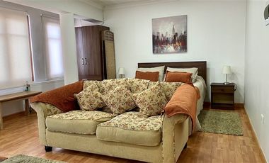 Departamento en Venta en Ignacio Carrera Pinto