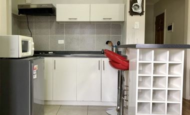 Departamento en Venta en Ignacio Carrera Pinto