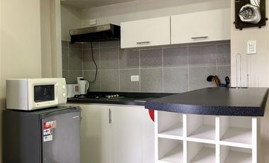 Departamento en Venta en Ignacio Carrera Pinto