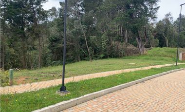 VENTA DE LOTE EN LAS PALMAS