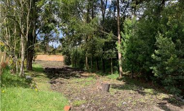 VENTA DE LOTE EN LAS PALMAS