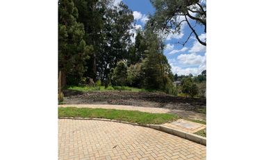 VENTA DE LOTE EN LAS PALMAS