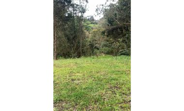 VENTA DE LOTE EN LAS PALMAS