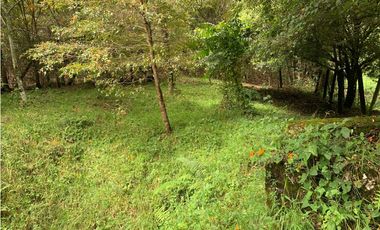 VENTA DE LOTE EN LAS PALMAS