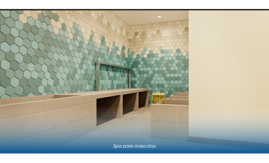 CESIÓN DE DERECHOS EN CIUDAD DEL RO