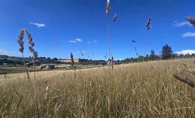 Parcela en Venta en Los Ulmos de Molino Viejo