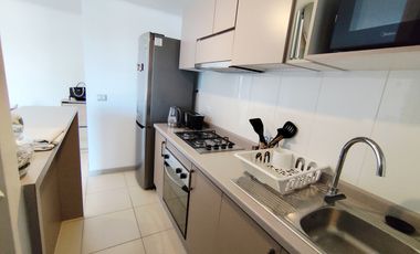 SE ARRIENDA DEPTO AMOBLADO MARZO A DICIEMBRE