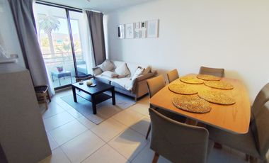 SE ARRIENDA DEPTO AMOBLADO MARZO A DICIEMBRE