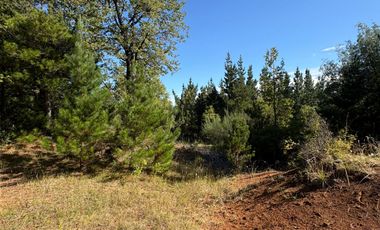 VENTA DE TERRENO 18000 M2  ROL PROPIO LUZ Y AGUA PROPIA