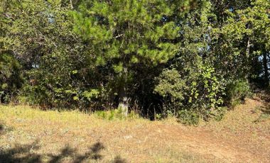 VENTA DE TERRENO 18000 M2  ROL PROPIO LUZ Y AGUA PROPIA