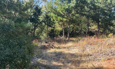 VENTA DE TERRENO 18000 M2  ROL PROPIO LUZ Y AGUA PROPIA