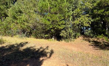 VENTA DE TERRENO 18000 M2  ROL PROPIO LUZ Y AGUA PROPIA