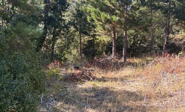 VENTA DE TERRENO 18000 M2  ROL PROPIO LUZ Y AGUA PROPIA