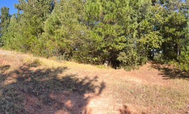 VENTA DE TERRENO 18000 M2  ROL PROPIO LUZ Y AGUA PROPIA