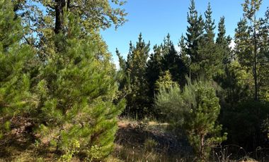 VENTA DE TERRENO 18000 M2  ROL PROPIO LUZ Y AGUA PROPIA