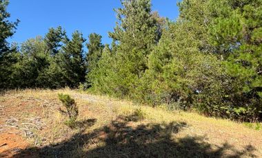 VENTA DE TERRENO 18000 M2  ROL PROPIO LUZ Y AGUA PROPIA