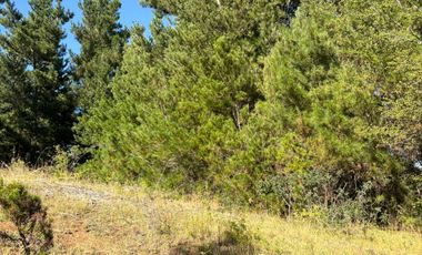 VENTA DE TERRENO 18000 M2  ROL PROPIO LUZ Y AGUA PROPIA