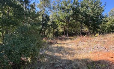 VENTA DE TERRENO 18000 M2  ROL PROPIO LUZ Y AGUA PROPIA