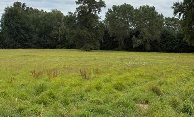 SE VENDEN PARCELAS DE INVERSIÓN EN PURRANQUE