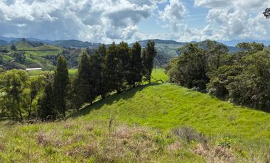 VENDO FINCA EN LA UNION