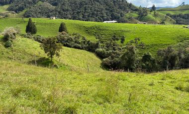 VENDO FINCA EN LA UNION