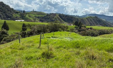 VENDO FINCA EN LA UNION