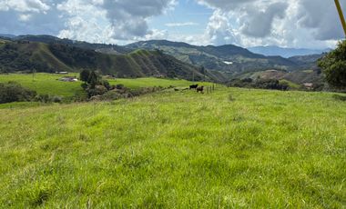 VENDO FINCA EN LA UNION