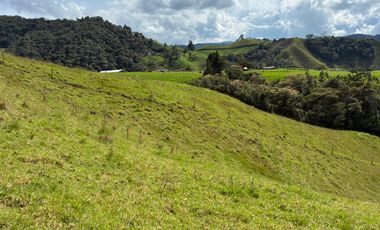 VENDO FINCA EN LA UNION