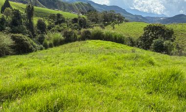 VENDO FINCA EN LA UNION