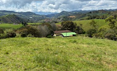 VENDO FINCA EN LA UNION
