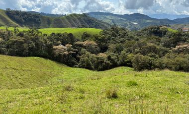 VENDO FINCA EN LA UNION