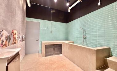 Nuevo, gran terraza, pet spa