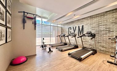 Nuevo, gran terraza, pet spa