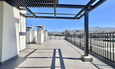 Nuevo, gran terraza, pet spa