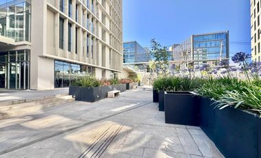 Nuevo, gran terraza, pet spa