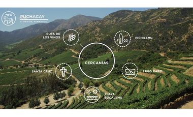 Parcela 5.000 mts2 - Rincón del Sauce - Pumanque