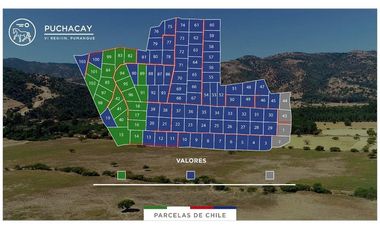 Parcela 5.000 mts2 - Rincón del Sauce - Pumanque