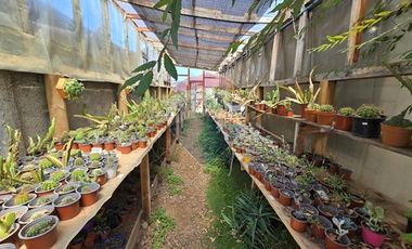 GRAN  Inversión -AVENDIDA RECABARREN - TEMUCO