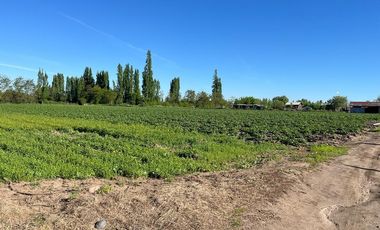 SE VENDE TERRENO 10 HA URBANO EN SAN JAVIER